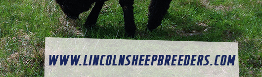 National Lincoln Sheep Breeders Association