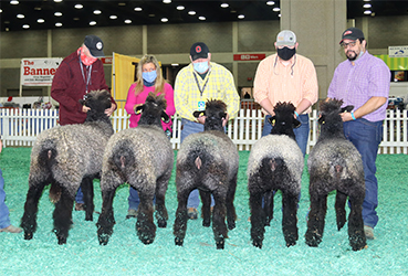 NAILE WInners