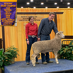 NAILE WInners