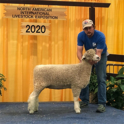 NAILE Winners