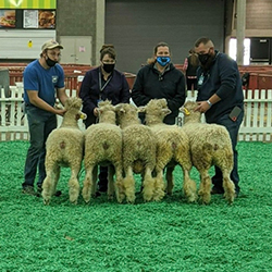 NAILE Winners