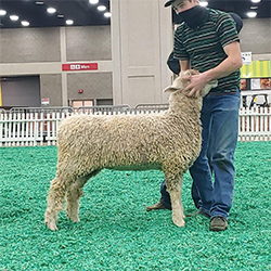 NAILE WInners