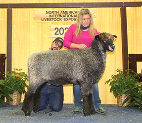 NAILE WInners
