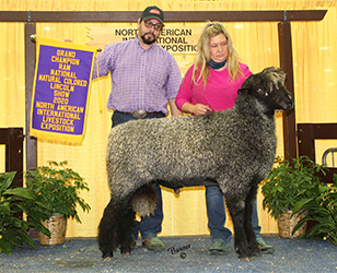 NAILE WInners