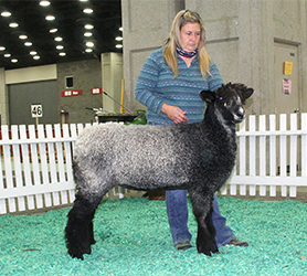 NAILE WInners