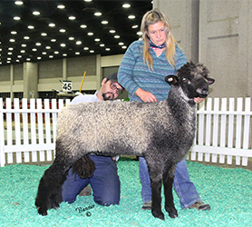 NAILE WInners