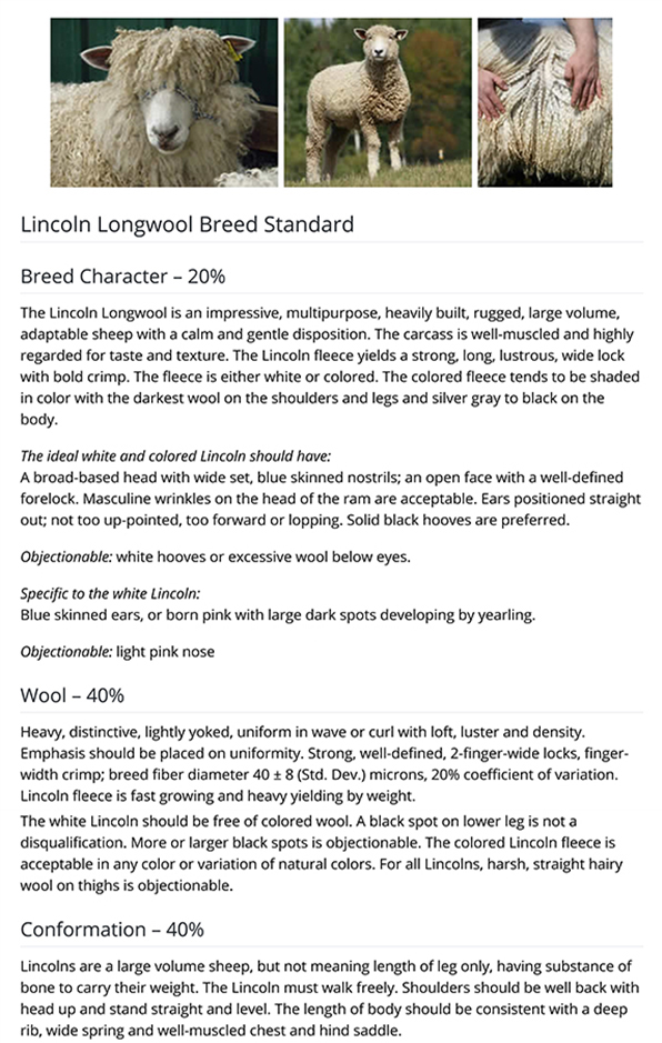 Lincoln Breed Guidelines