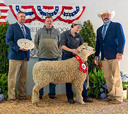 Supreme Champion Ram
Maryland Sheep and Wool Festival